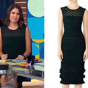 Sachin & Babi Skye Dress Knit Ruffle Bodycon Sleeveless Sz XL $495